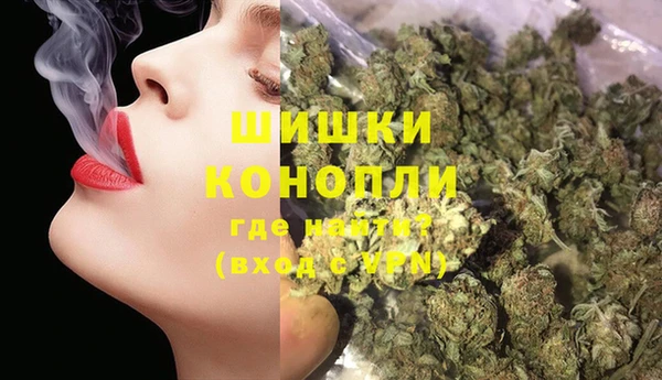 PSILOCYBIN Бронницы